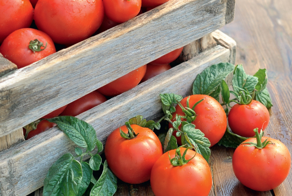 Система StoreHouse_5 – новая, пятая, версия системы позволяет полностью автоматизировать процесс управления производством в вашем заведении